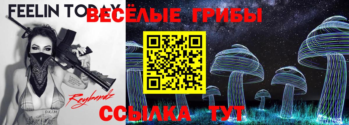 Галлюциногенные грибы мухоморы Лысьва