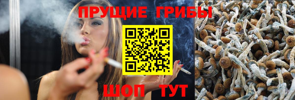 Псилоцибиновые грибы Psilocybine cubensis  Псилоцибиновые грибы мицелий  сколько стоит  Лысьва  Вход с VPN 